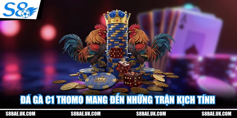 Đá gà C1 Thomo mang đến những trận kịch tính