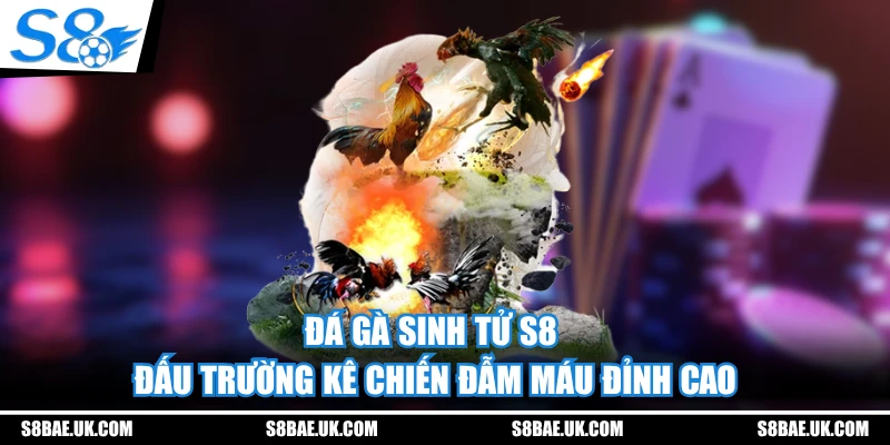 Đá Gà Sinh Tử S8 - Đấu Trường Kê Chiến Đẫm Máu Đỉnh Cao