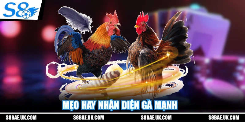 Mẹo hay nhận diện gà mạnh