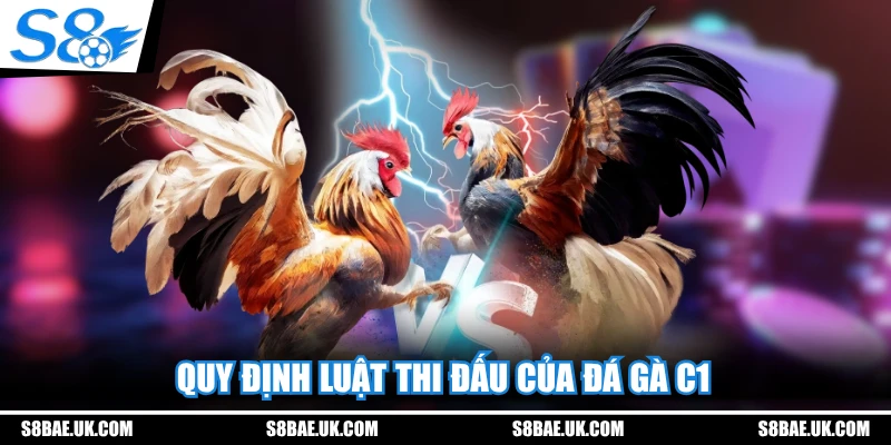 Quy định luật thi đấu của đá gà C1